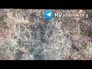 video молодые провал наступления всу в приграничье харьковской области идут бои танки бмп ббм и пикапы с пехотой всу трет sex