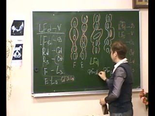 video мануальная терапия функциональных блоков поясничного и грудного отдела позвоночника sex