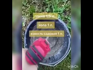 video лечим нашу яблоню рекомендую воспользоваться советом sex