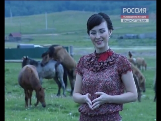 video в башкирии лошади занялись сексом прямо во время телесъемок sex