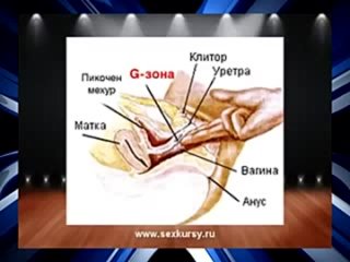 video секрет точки g как найти и довести до оргазма точки джи sex