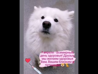 video девушказадралаплатьеипоказаласвоюбольшуюаппетитнуюжопу vid 125680522 081114 487 mp4 sex
