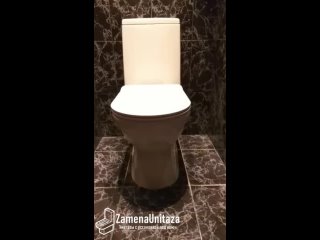 video тест смыва унитаза sanita luxe next dm горизонтальный выпуск от заменаунитаза ру sex