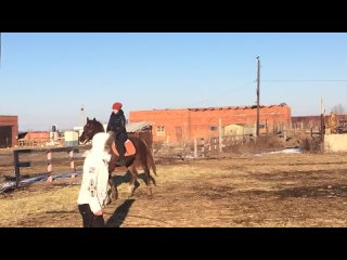 video немного рыси с моей ужасной посадкой sex