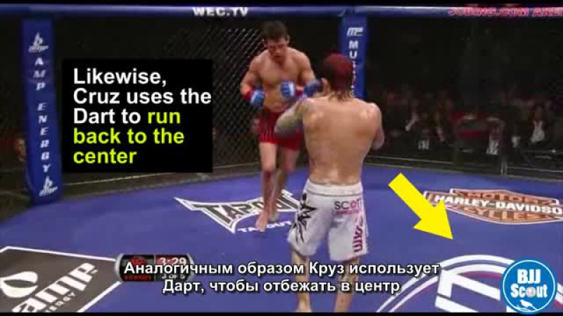 video bjj scout dominick cruz study part 1 русские сабы sex