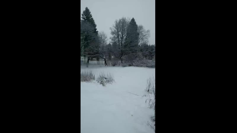 video 逼毛浓密淫骚大波网红多多小树林演绎西游记勾引师父唐憎啪啪被三个徒弟轮番性报复 vid 20200201 090701 mp4 sex