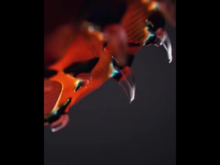 video marco asensio nike mercurial superfly sex