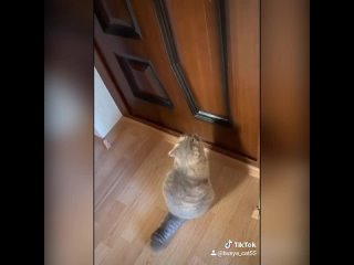 video пришлось выучить человеческий sex