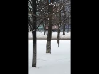 video утренняя пробежка без трусов sex