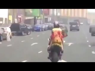 video голая жопа девушки на мотоцикле sex