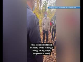 video роман ставровойт отчитал льговских чиновников за передачу леса под вырубку sex