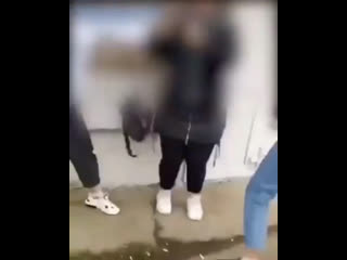 video в оршанском колледже продовольствия поссорились две студентки дошло до драки sex