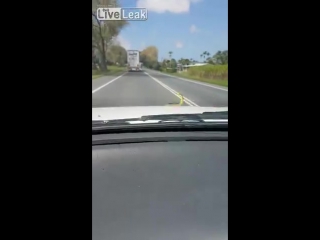 video прокатилась с ветерком видеожесть sex