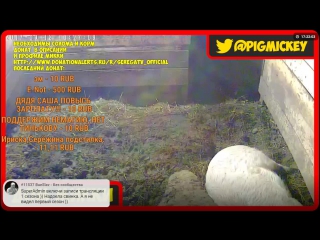 video серёгаtv официальная страница live sex