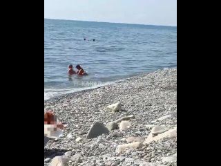 video в сочи пока муж спал на пляже жена рядом изменяла ему с другом sex