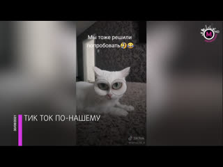 video мегаполис нижневартовскии тик ток нижневартовск sex