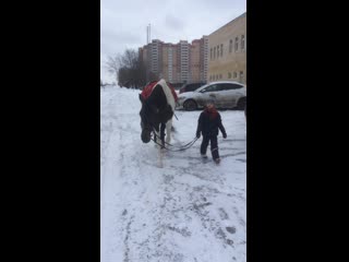 video rayn img 0967 mov sex