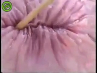 video искусственная вагина как живая sex