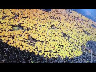 video очень красивый перформанс дортмундских болельщиков borussia dortmund sex