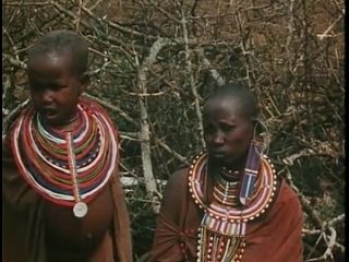 video эротика в джунглях это случилось в африке 1969 sex