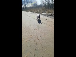 video 高颜值性感美女洗澡都这么骚气故意挑逗把下面洗干净然后大震动器加肉棒把骚穴搞的淫水泛滥叫的诱人完整版 vid 20210410 093733 mp4 sex