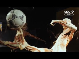 video выстаа на вднх 12 марта 2021 body worlds анатомическое путешествие sex