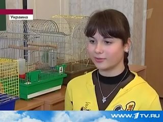 video чипсы и сухарики оружие массового уничтожения опыт на крысах международный коралловый клуб sex