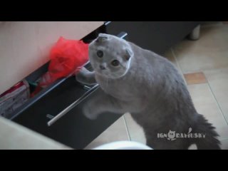 video котик которого застукали очень красивый секс a hrefмузыкальный магазинa трах минет анал пизда разврат проститутка a sex