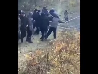 video появилось свежее видео с границы беларуси и польши на котором нелегалы снова пытаются разрушить ограждение sex
