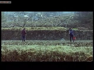 video одинокая корова плачет на рассвете a lonely cow weeps at dawn sex