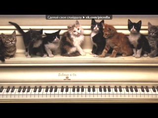 video прикольные кошки под музыку selena gomez shake it up ost танцевальная лихорадка picrolla sex