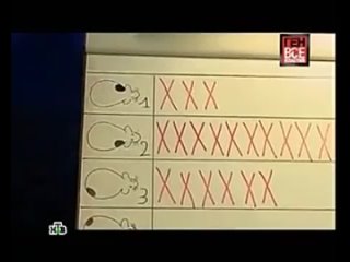 video ген всевластия эксперименты с крысами дидье дезора sex