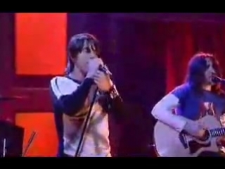 video red hot chili peppers live cabron sex