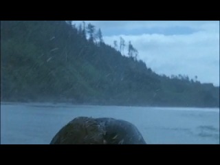video point break финальная сцена sex