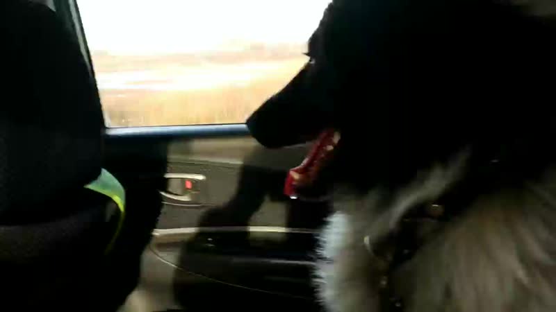 video 角色扮演剧情演绎母子乱伦妈妈午睡黑丝袜蕾 vid 20210226 095205 mp4 sex