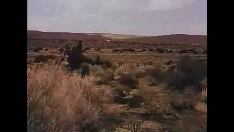 video пятно позора обнаженная джанго nude django 1968 sex
