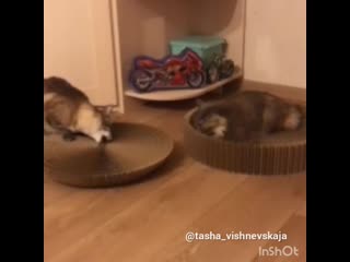 video а потом поменяемся договорились sex