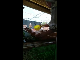 video светлана скалозубова победительница банного чемпионата sex