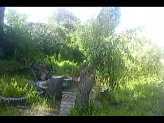 video володя как всегда отличился приятного просмотра не порно sex