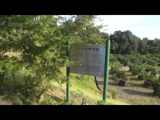 video acceed shootiing sex tour the entire length of japan part a sex