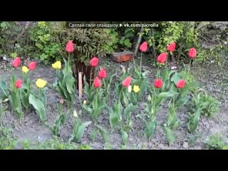 video ххх под музыку потап и настя каменских не хватило воздуха new 2011 picrolla sex