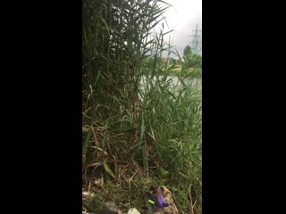 video 逼毛浓密淫骚大波网红多多小树林演绎西游记勾引师父唐憎啪啪被三个徒弟轮番性报复 img 0967 mov sex