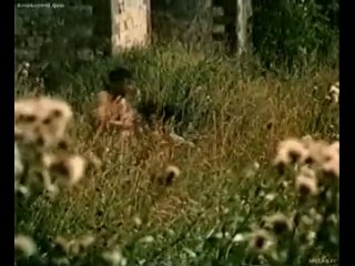 video ольга кабо комедия о лисистрате sex