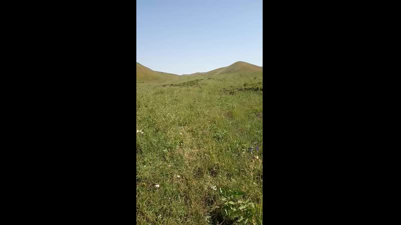 video 宅男福利pr社极品网红少女我是你可爱的小猫之被哥哥把pp打红 vid 20190718 095853 mp4 sex