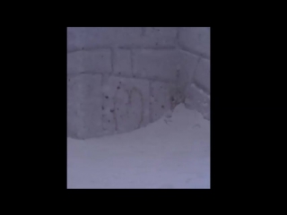 video романтичный клип 2017 для вашей второй половинки смотреть до конца сильно сентиментально беременным не смотреть sex