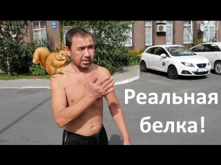 video у мужика реальная белка sex