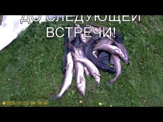video приключение вальдемара онега вологодская обл sex