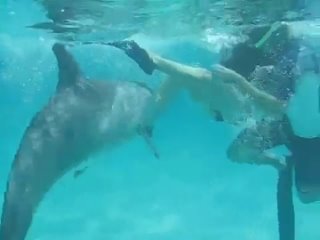 video дельфин чуть не молодые девушку sex