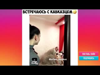 video секс приколы инстаграм 2019 18 эротические приколы с инстаграм 2018 sex