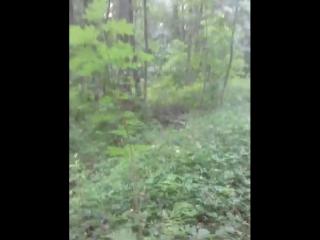 video возвращаться домой всегда приятно sex